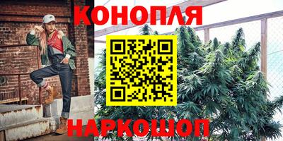 spice Нальчик